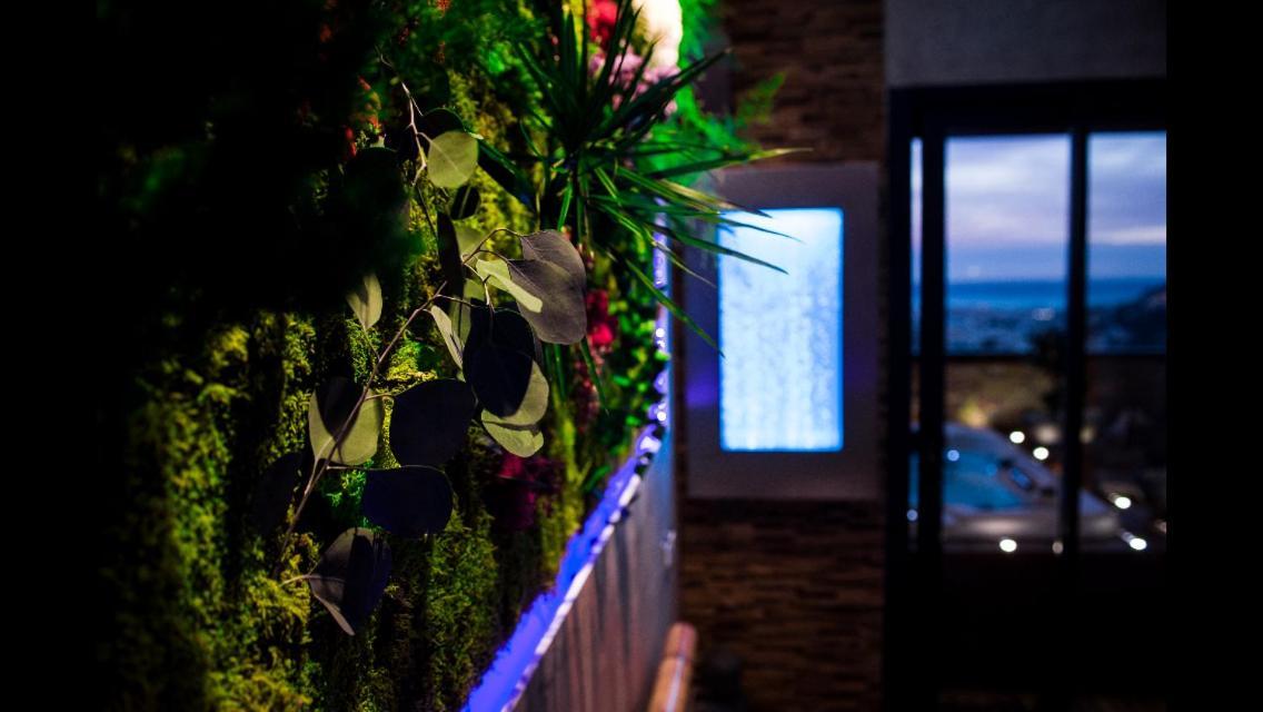 B&B Villa Sensorielle 尼斯 外观 照片